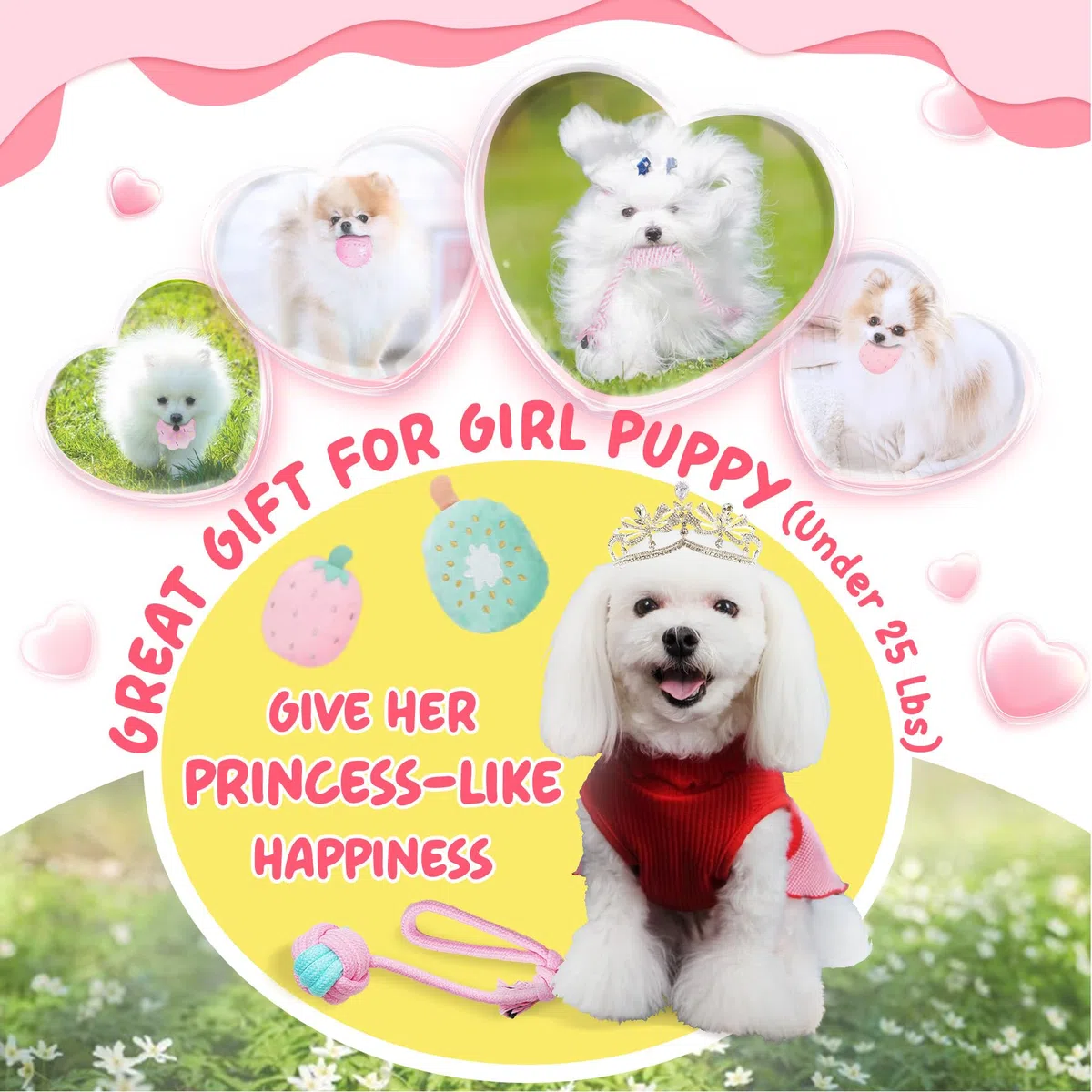 XIUGOAL Juguetes para Cachorros Rosados para aburrimiento, Paquete de 14 Juguetes masticables para Cachorros, Juguetes interactivos para Cachorros, Lindos Juguetes para Perros pequeños con Bola de