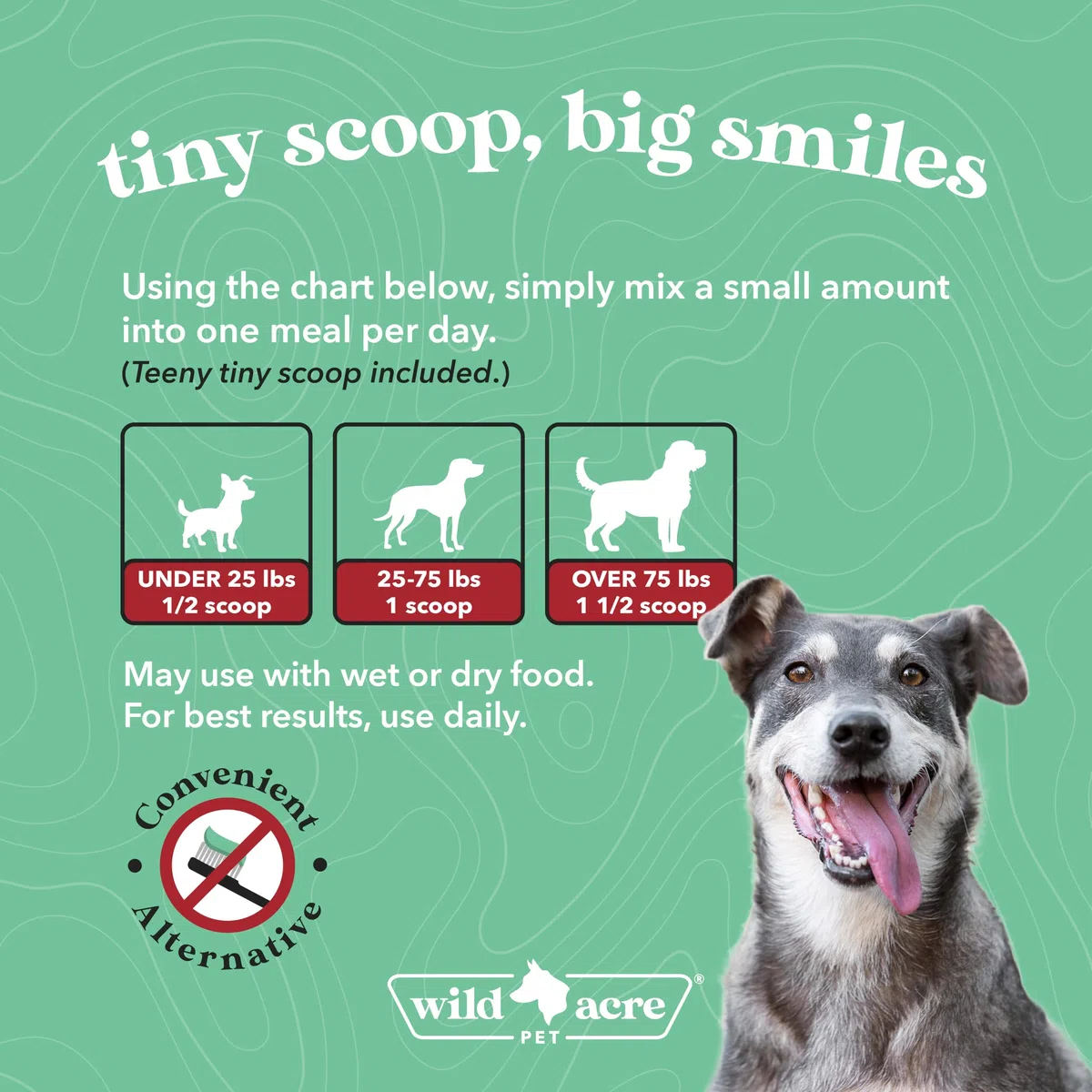 Polvo dental para perros, ambientador de aliento de perro, polvo dental para limpieza de dientes, placa de limpieza, cuidado dental para perros, removedor de sarro para dientes, probióticos para