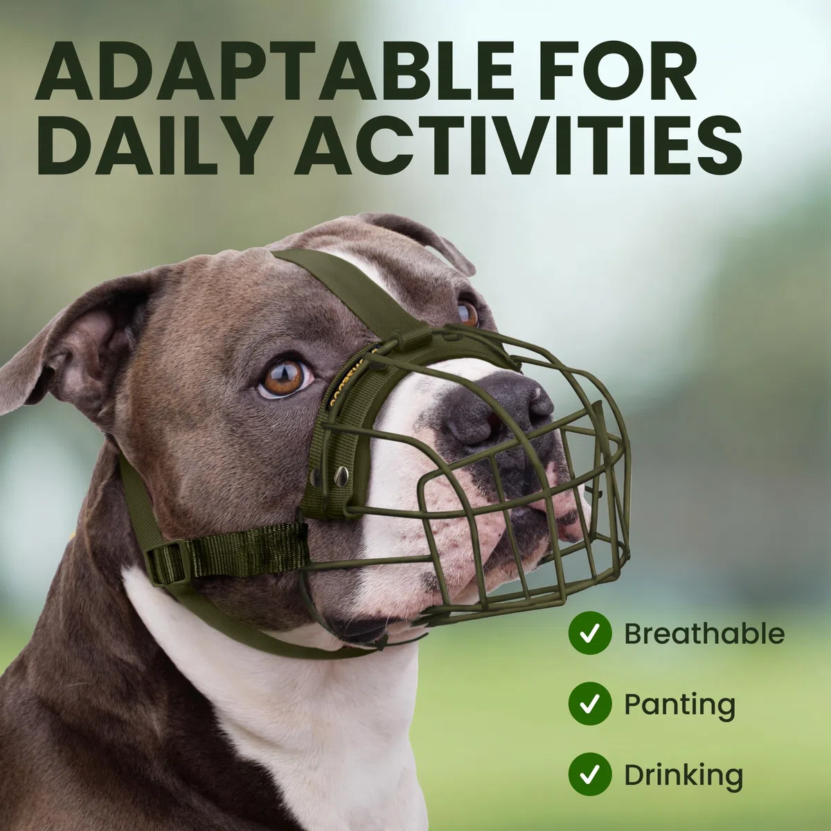 BRONZEDOG Bozal para Perro Pitbull de Metal Transpirable para Perros Grandes como Amstaff y Staffordshire Terrier, con Correa de Nailon, antimordeduras, masticación y ladridos