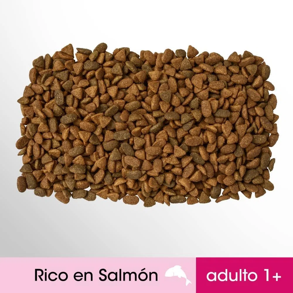 Pienso para Gatos Sabor Salmón (5 Bolsas x 1,4kg)