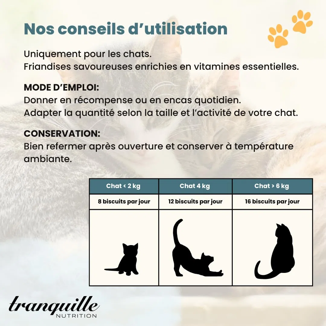 Tranquilo Golosinas Gato Crunch' Pollo Queso (40 x 60 g) | Vitaminas A D3 E Croqueta Gato | Snack Saludable y Sabroso Gatito y Gato Adulto | Ayuda a Fortalecer la Inmunidad & Huesos