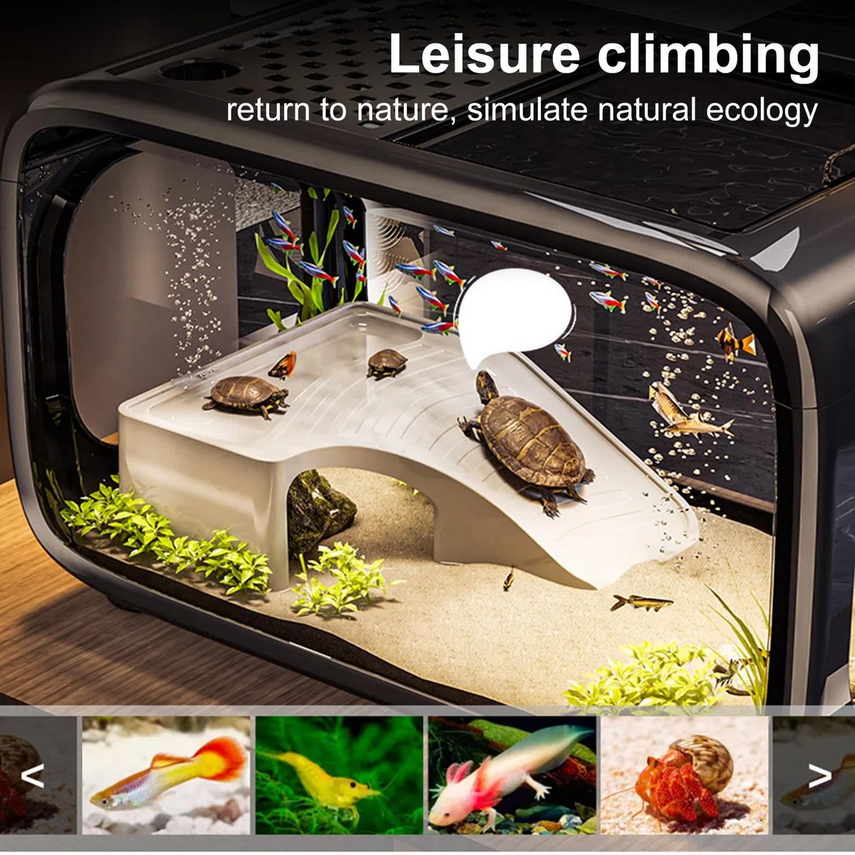 Acuario Pequeño Pequeño Acuario Nano Mini De Acrílico Transparente para