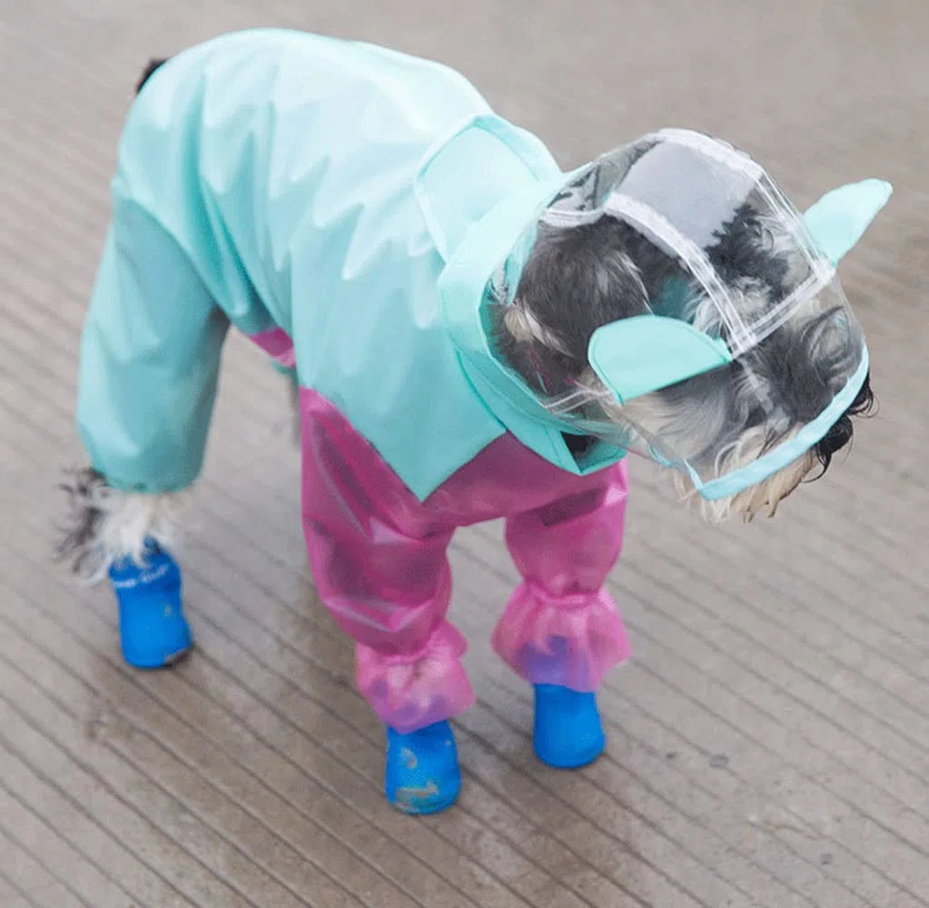 Impermeable para Perros, Impermeable for Perros de Cuatro Patas, Ideal for Cachorros pequeños, Ropa Impermeable for Todas Las Estaciones(Blue,L)