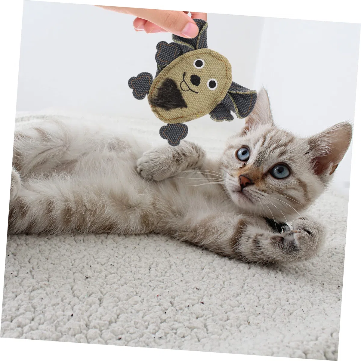 DOITOOL 15piezas Juguetes para Gatos Ratón De Larga Interactivos De Lona Juguetes Molares Divertidos para Gatitos Accesorios para Mascotas Estimulantes