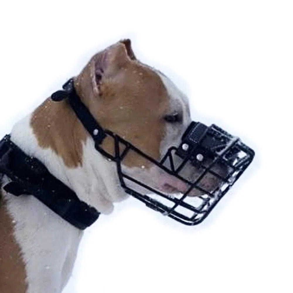 Bozal de Metal para Perro (Talla 38, XL) para Amstaff Grande, Pit Bull, Ca de BOU - Cesta de Alambre de tamaño máximo para Cabeza Ancha y hocico Corto - Duradero y Transpirable