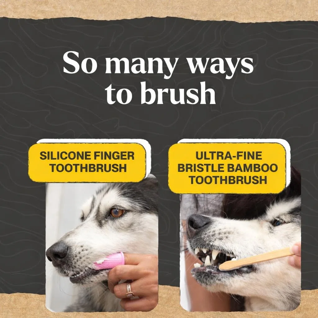 Dr. Oakley Total Dental Care Kit para perros: Sabor a mantequilla de maní, pasta de dientes, cepillos y estuche, natural