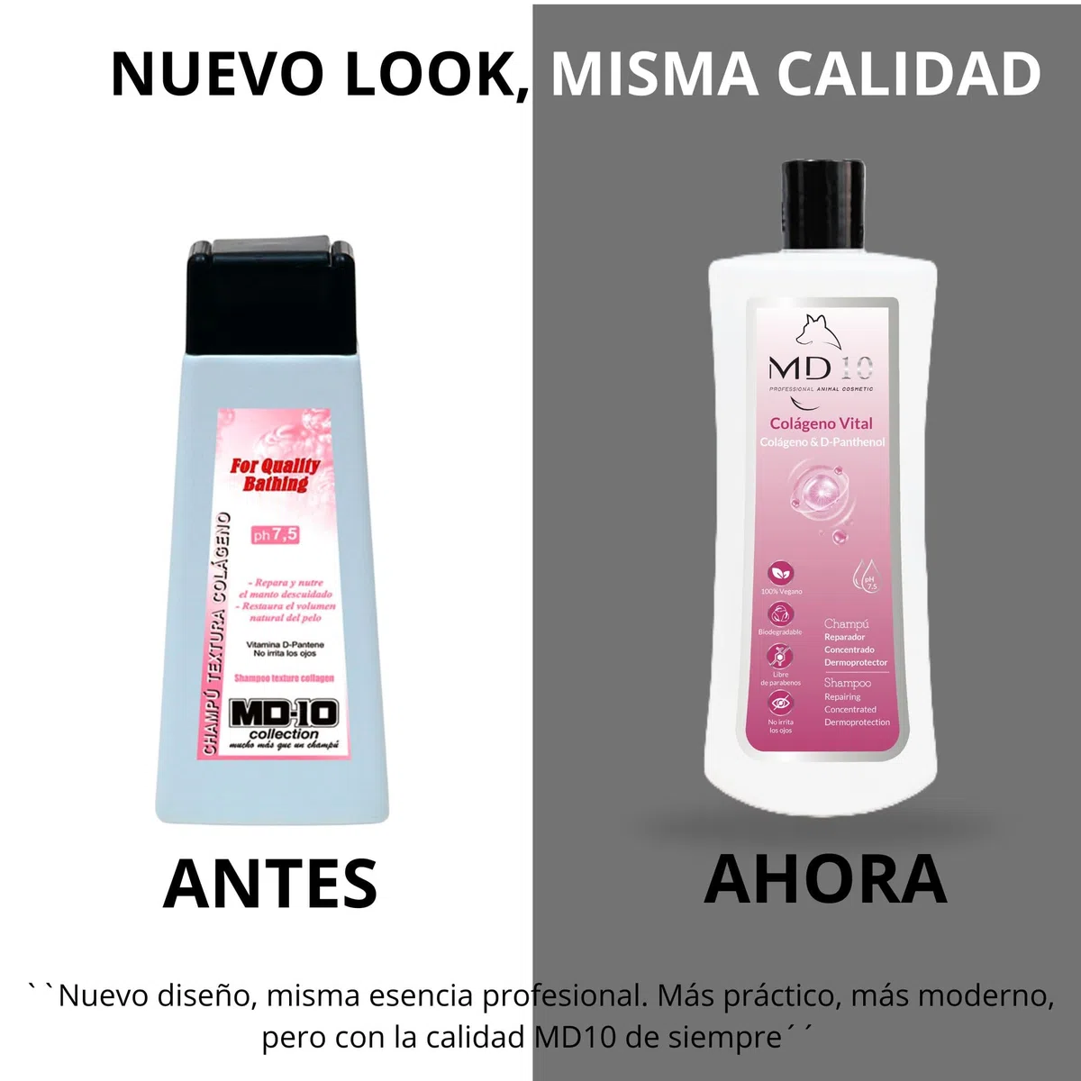 Champú para Perros con Colágeno Hidrolizado - Champú Hidratante y Dermoprotector con Vitamina D-Pantenol - Repara, Hidrata y Protege - Volumen Moderado - pH Neutro - 2 litros - MD10 Collection