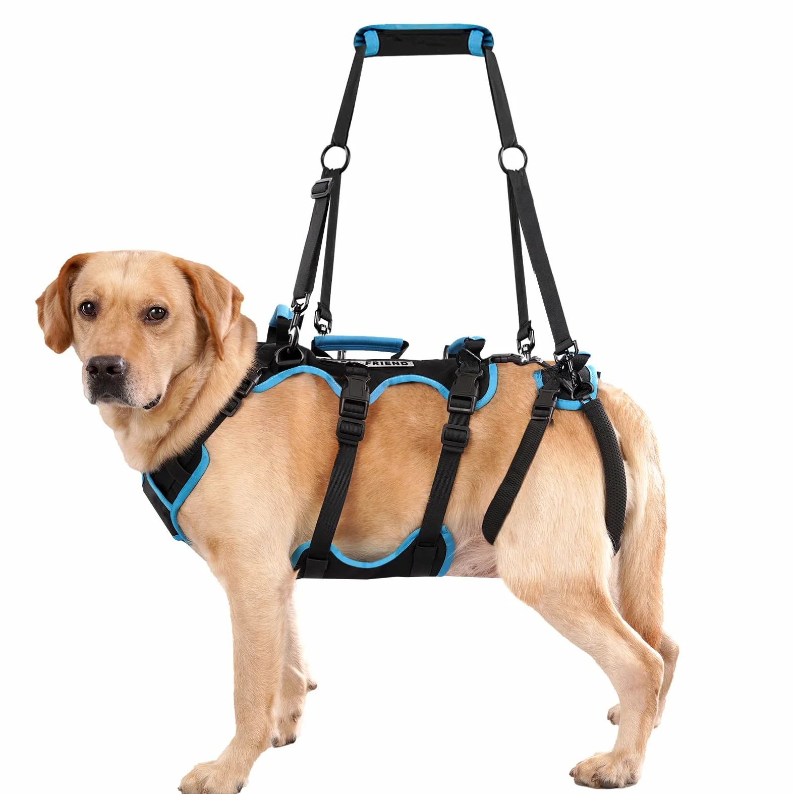 Arnés de Levantamiento para Perros Machos Grandes – Arnés 2 en 1 de Ayuda para Levantar, Apoyo para Las Patas Traseras y Asistencia en Movilidad para Perros Mayores(Negro, Grande)