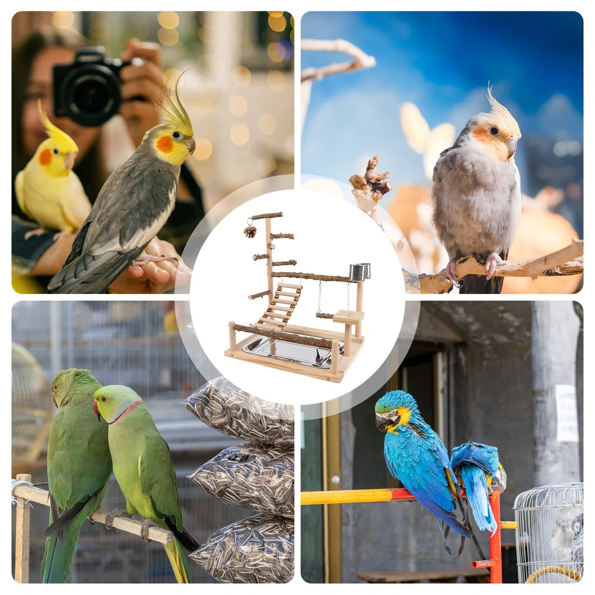 Parque De Juegos De Periquitos Parque de Juego de Madera | Soporte De Perchas Para Aves Con Tazón Y Bandeja De Acero Inoxidable Para Cotorras Pinzones Agapornis Entrenamiento