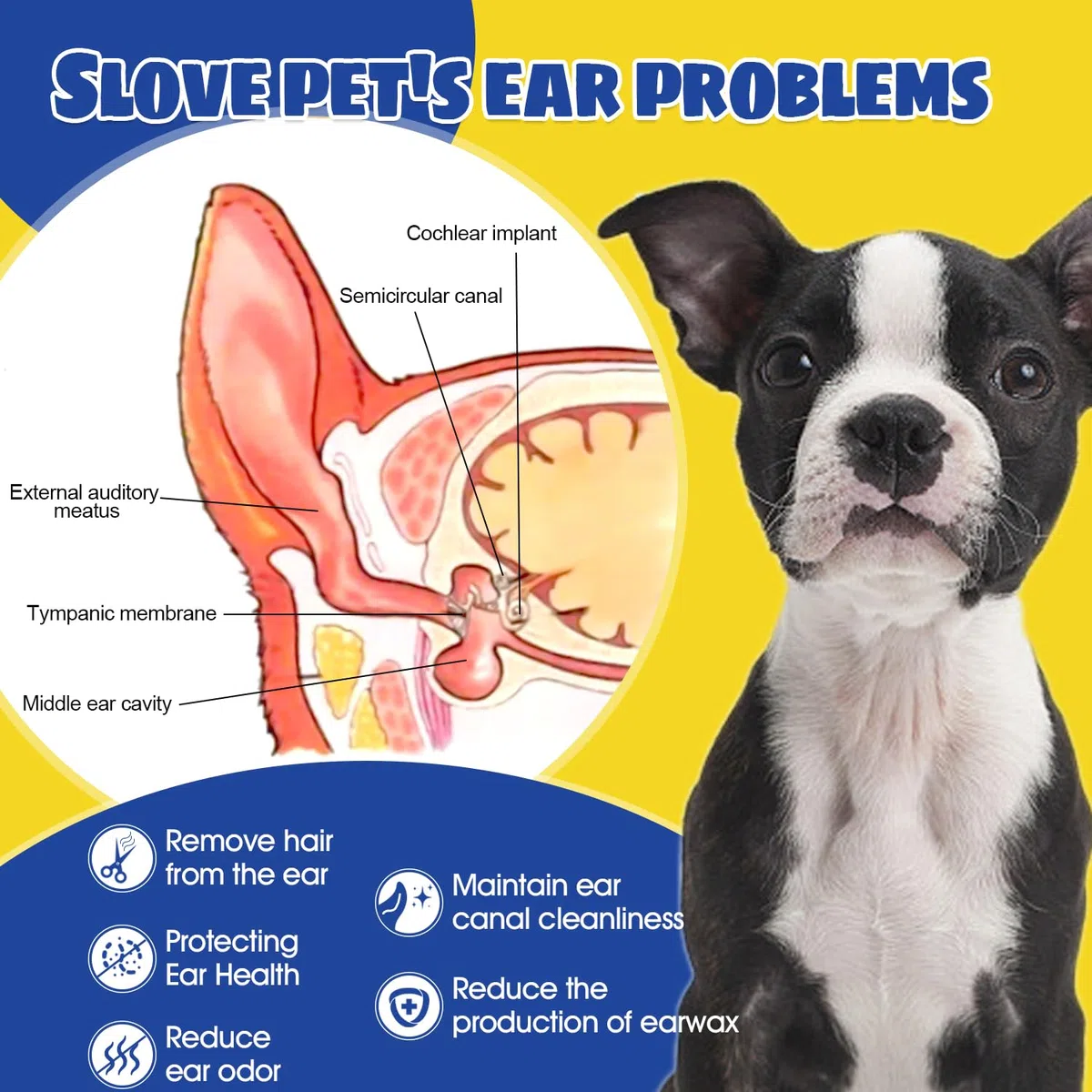 Polvo mejorado para orejas de perro, tratamiento de infecciones de oído de perro con herramienta de eliminación de vello de oreja de 5.5 pulgadas, elimina eficazmente la acumulación y el