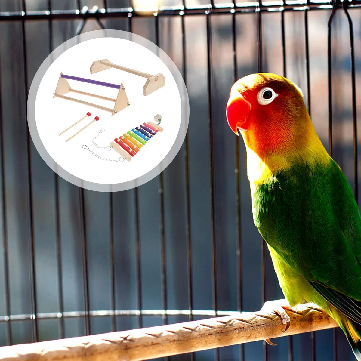 Cabilock Barra de Madera para Descansar y Jugar para Aves y Gallinas, Soporte Natural de Madera Xilófono, Accesorio para Jaulas y Suministros para Mascotas en Casa