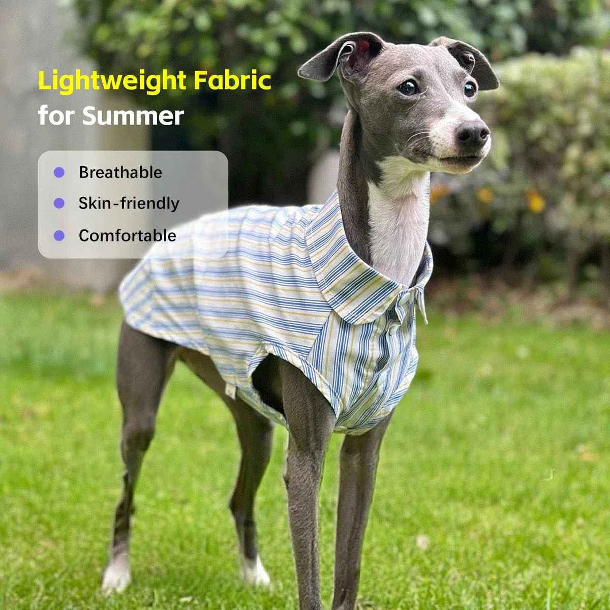 Camiseta De Perro Camisas Clásicas De Rayas para Pequeños Perros Grandes Grandes Perros Transpirables Ropa De Camiseta con Botón ¡Lindos Trajes De Verano para Italiano Greyhound Whippet