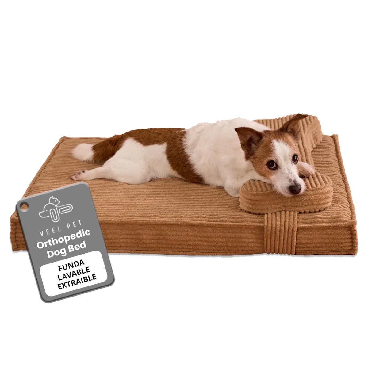 Cama Perro ortopédica antiestrés Lavable Funda Impermeable (Small)
