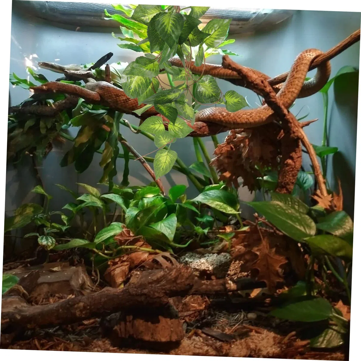 Sosoport 3piezas Artificial De Terrario para Reptiles Decoración Lifelike Simulada para y Terrarios Accesorio para Hábitats De Serpientes y Reptiles Instalación y