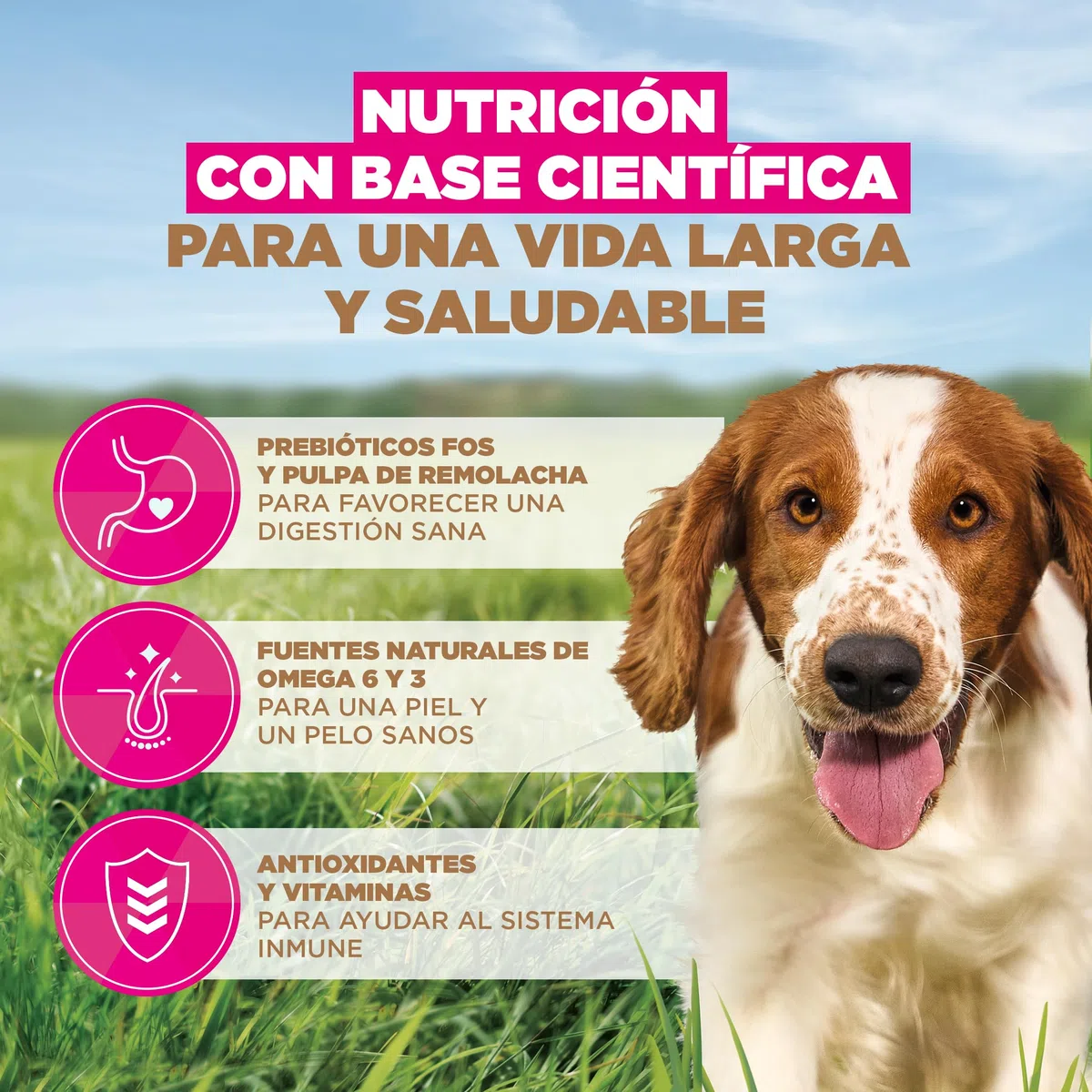 Eukanuba, alimento para Perros sin Cereales con Pesco para Razas pequeñas y Medianas - Alimento seco Premium sin Cereales para Perros Adultos, 12 kg