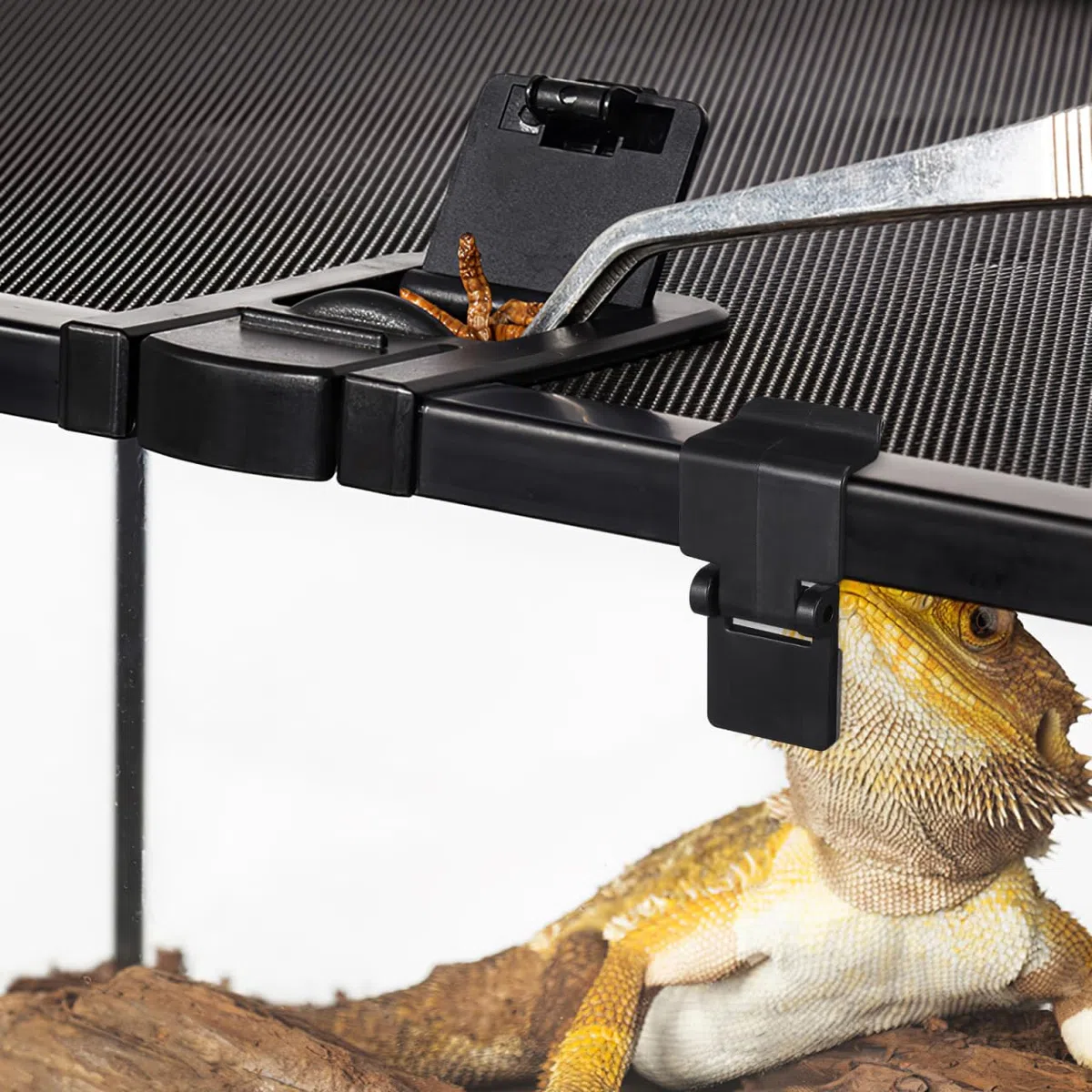VILLCASE Hebilla para Tanque de alimentación de Reptiles, 6 Clips de Bloqueo antiescape para acuarios Anfibios, Tortugas, terrarios, Caja de cría, Accesorios