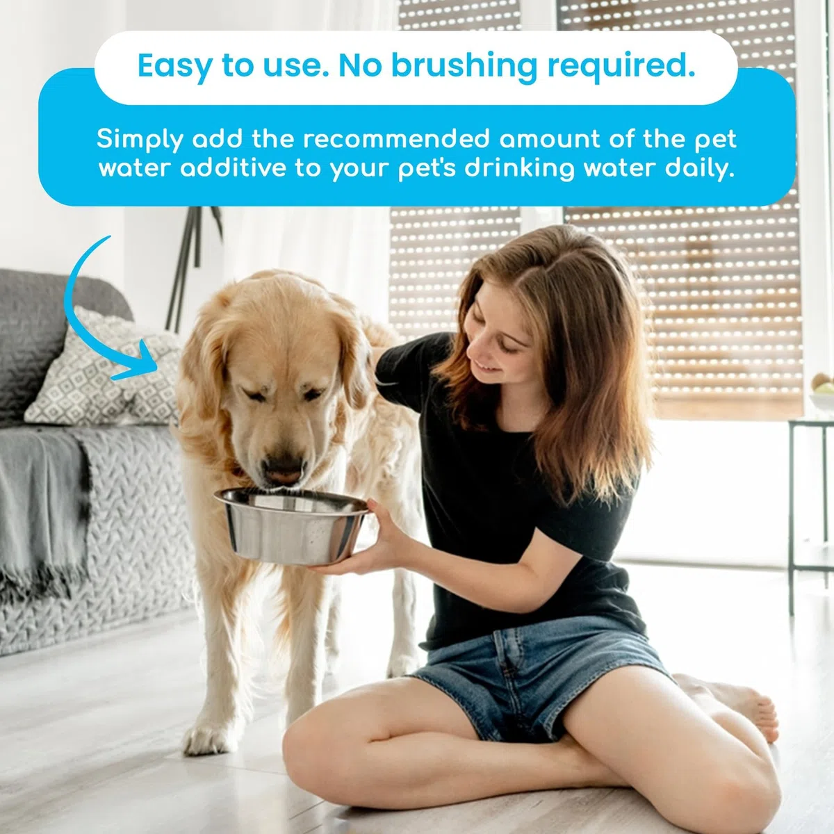 Aditivo de Agua Oydent: Cuidado Dental Completo para Tus Mascotas