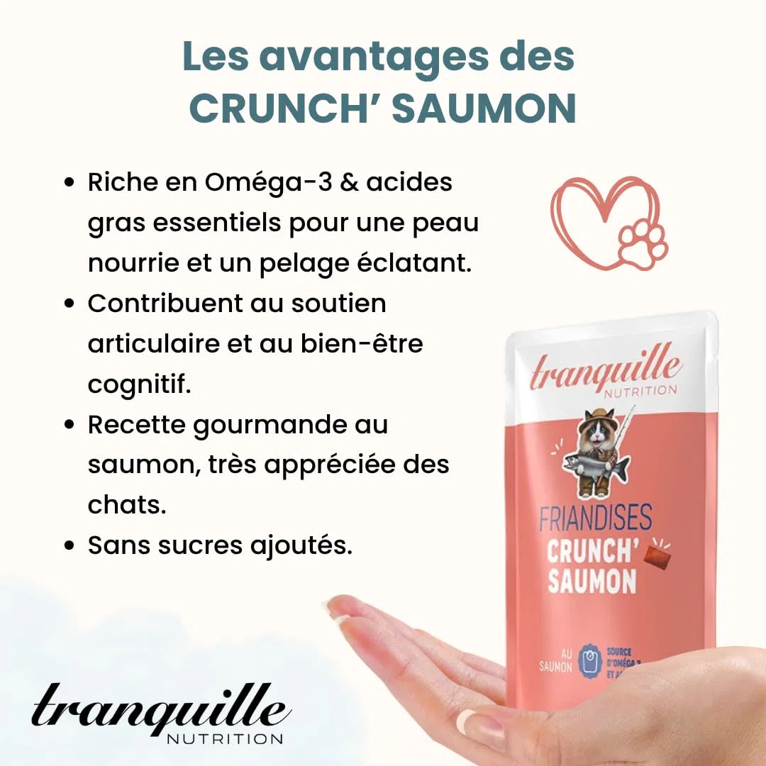 Tranquilo Crunch' Salmón para Gatos (40 x 60 g) | Dulces Ricos en Omega 3 y ácidos grasos | Piel Saludable y Pelaje Brillante | Soporte Articular y Cerebral | Croqueta Gato