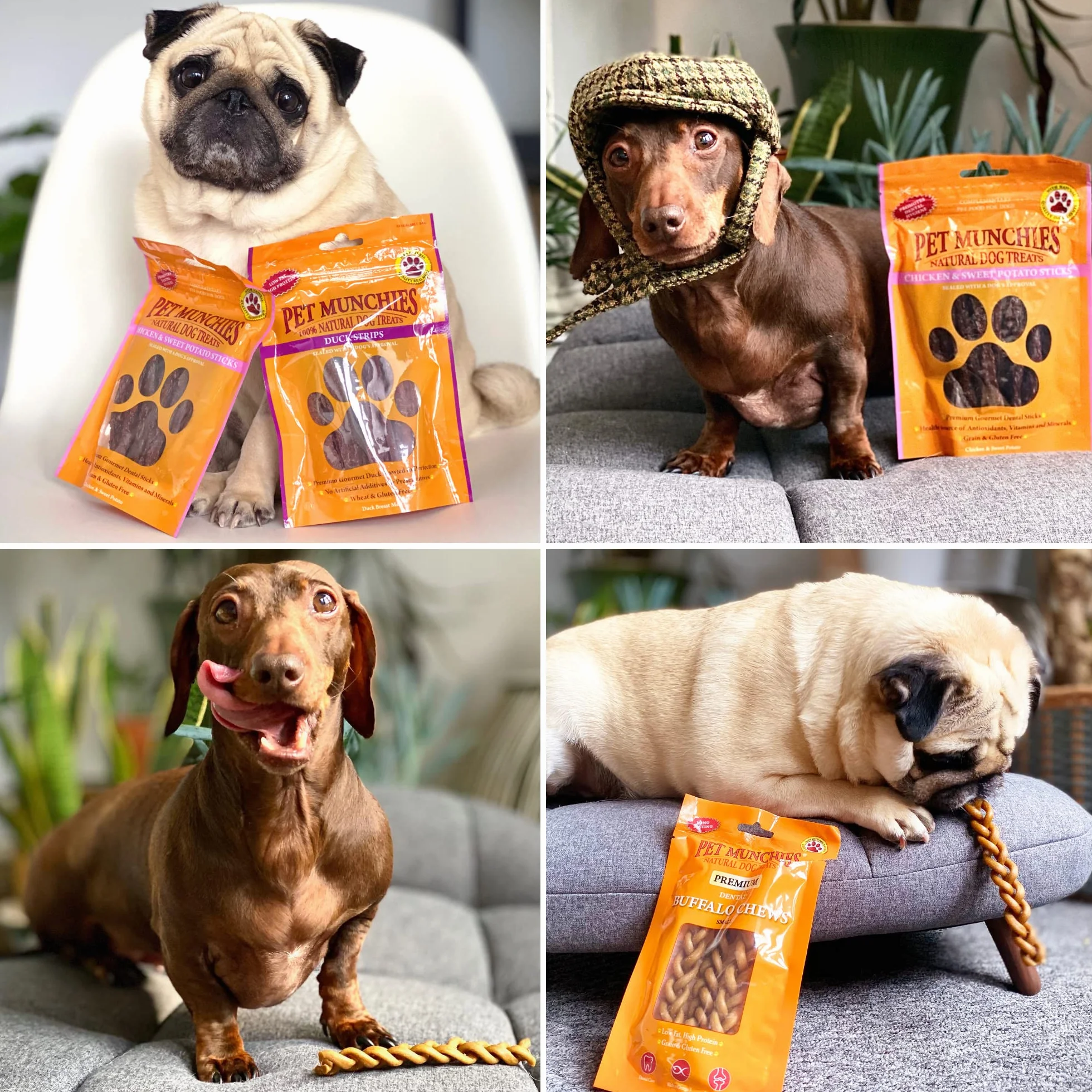 Pet Munchies - Snacks de adiestramiento para perros (8 Paquetes) (8 x 150g) (Pollo)