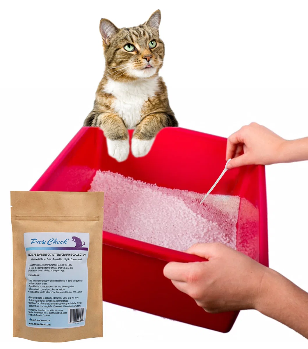 PawCheck Arena para gatos para recolección de orina, reutilizable y no absorbente, kit de recolección de orina para gatos destinado a controlar la salud del gato