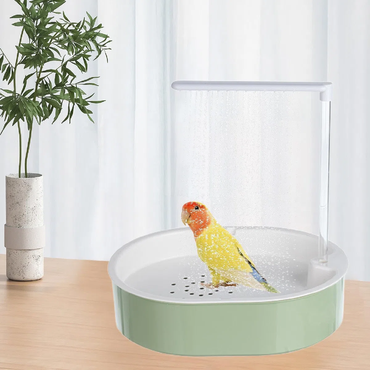 Bañera Automática para Loros con Bomba para Loros Y Cotorras (para Exteriores).