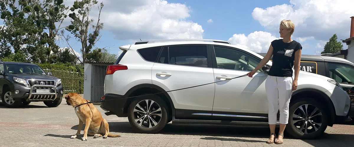 Dingo Correa de Piel Suave Mango Trenzado, Hecha a Mano, para exposiciones de Perros