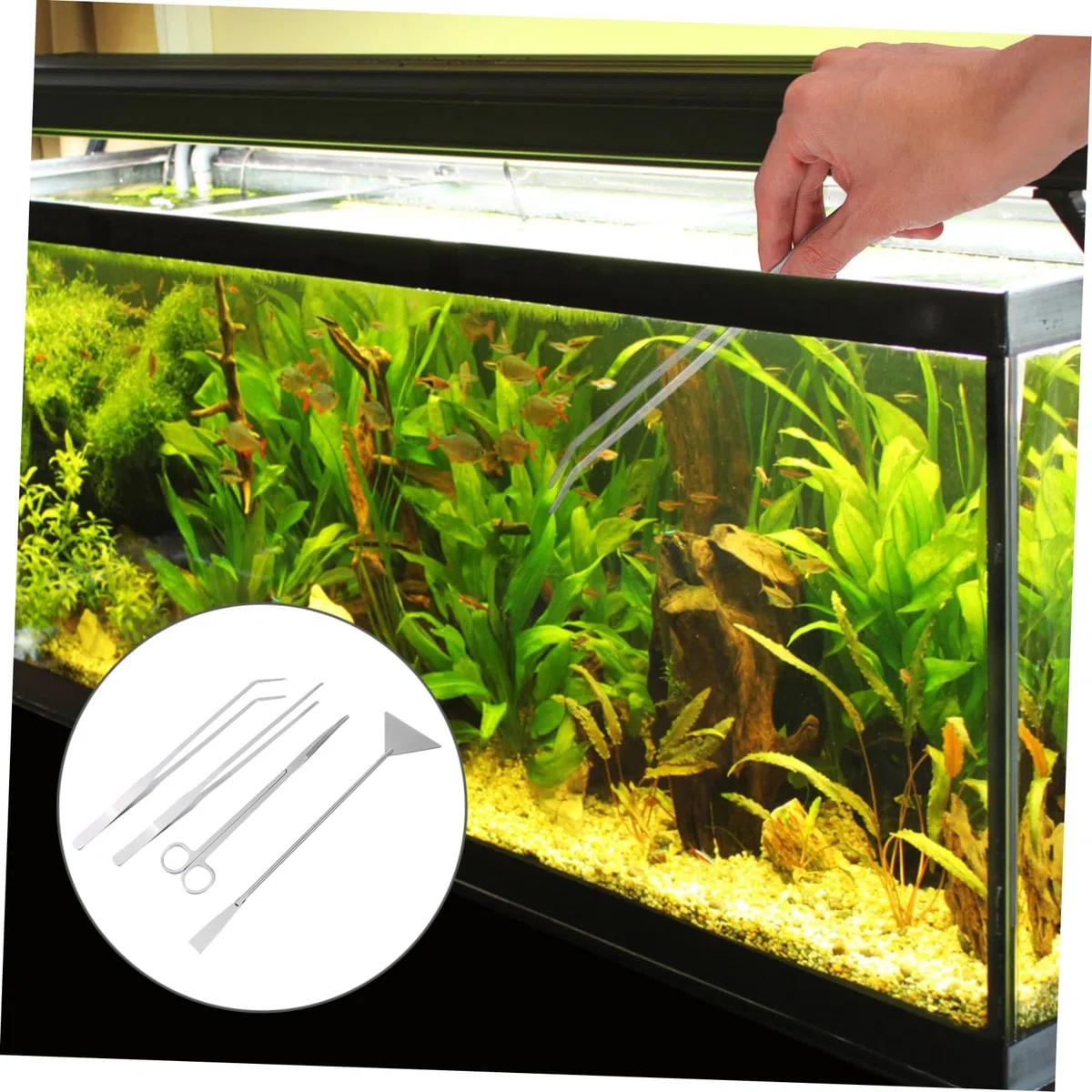 Juego de Herramientas para Plantas de Acuario de Acero Inoxidable, 1 Set