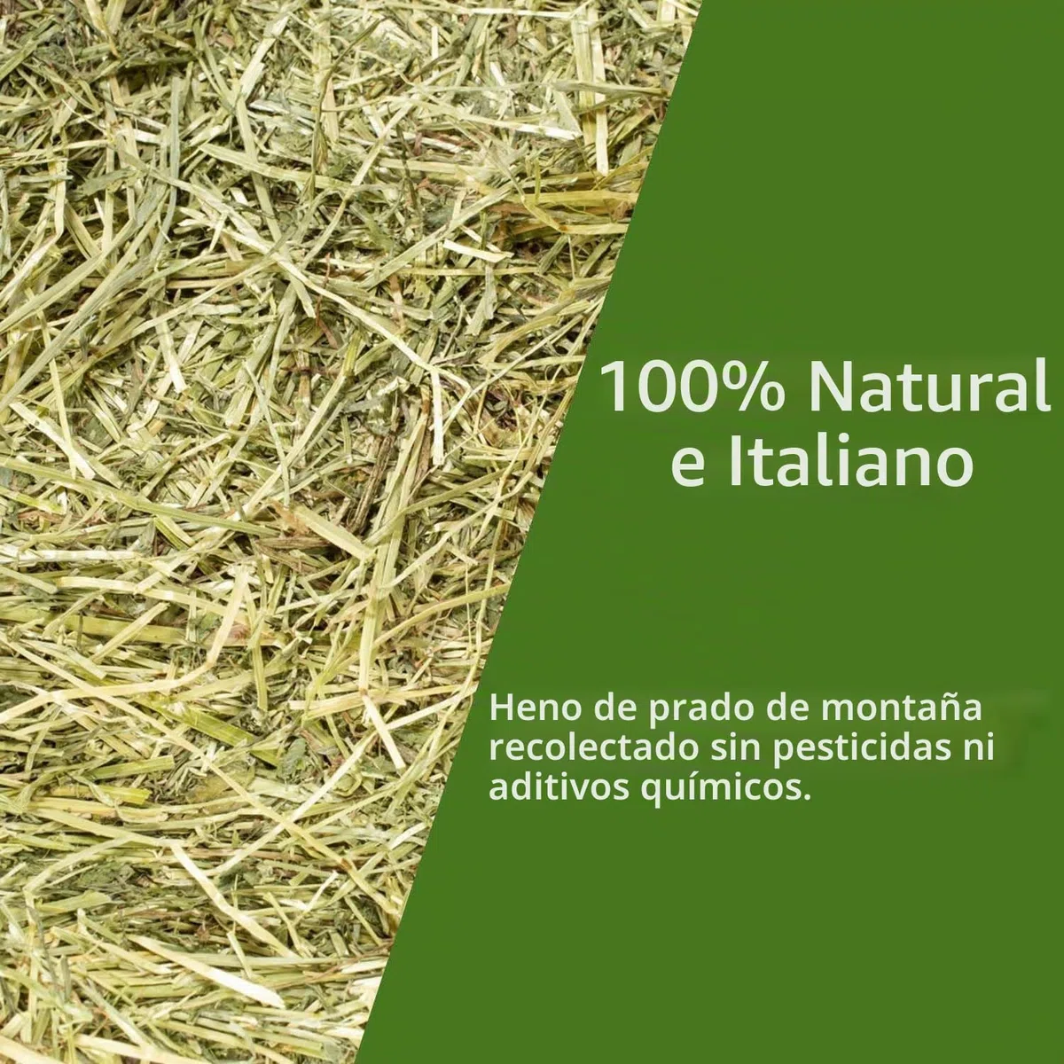 Heno natural para caballos, ovinos, caprinos y ganado 15 kg | Bala de heno italiano de prado de montaña orgánico | Alimento para todos los roedores, conejos y ganado | Alta calidad