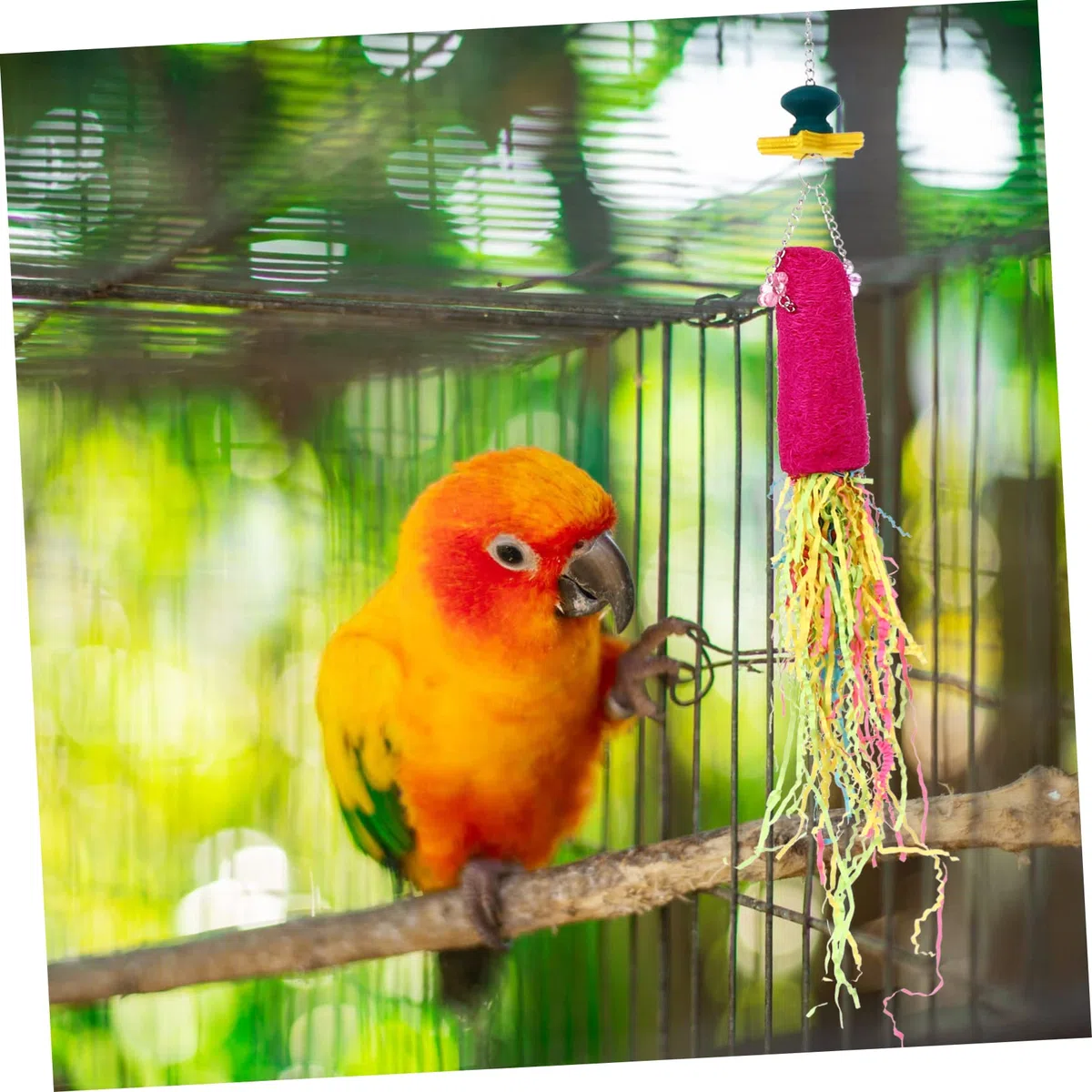 BESPORTBLE 9piezas Juguetes Colgantes para Aves Juguetes Masticables Coloridos para Periquitos y Loros Accesorios Interactivos para Jaulas De Aves