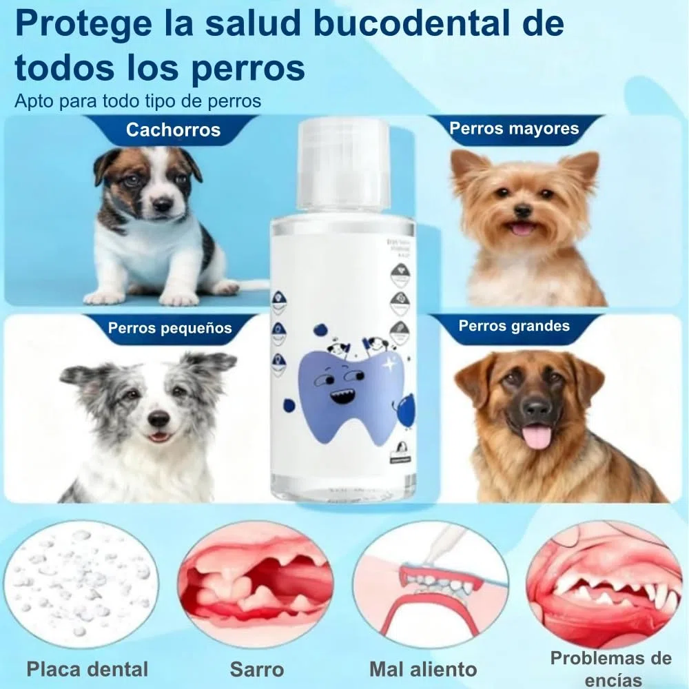 MEIION Balyxe Enjuague bucal para Perros - Elimina Mal Aliento, Refresca y Promueve Encias - Hogar y Exterior