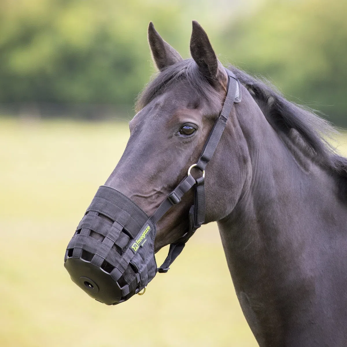 Shires - Bozal de Nailon para Hierba, Color Negro