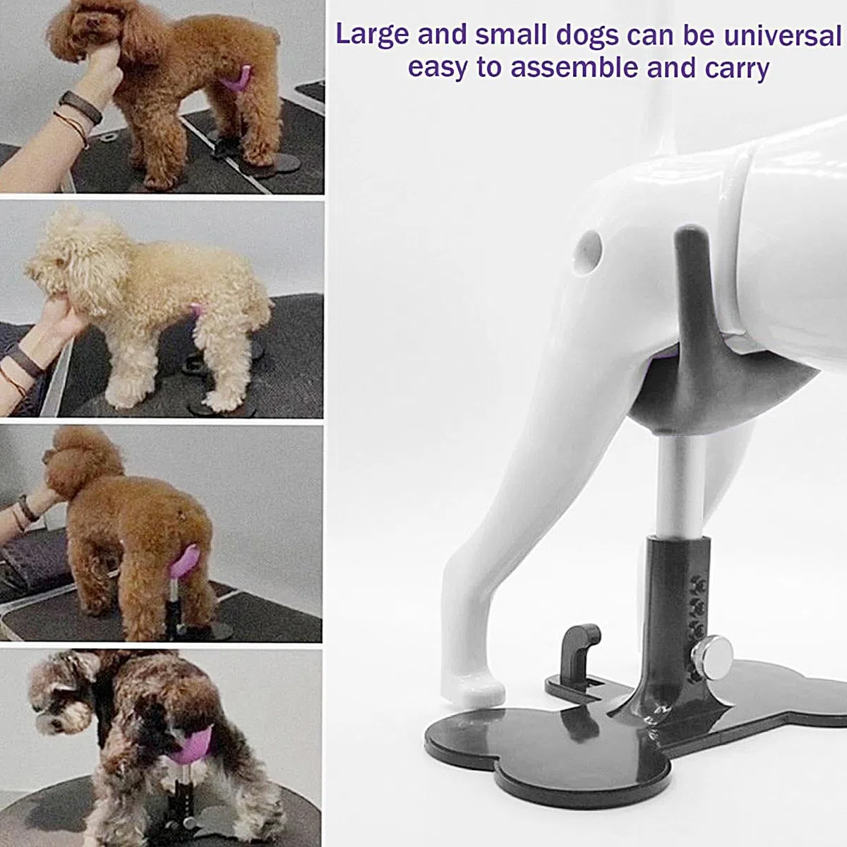 Genérico Silla De Aseo para Perros Pequeños - Soporte para Corte de Cachorros | Escalera Plataforma de Altura Ajustable para Baño, Corte y Peluquería Canina