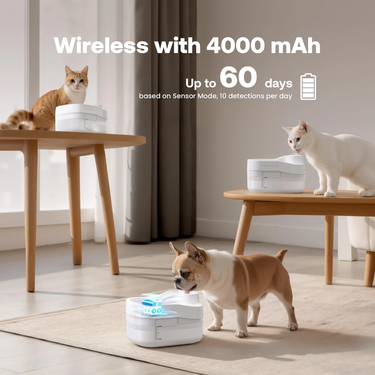 Dockstream - Fuente de agua para gatos, 3L/2,863.3 g, dispensador automático de agua para mascotas, para gatos, perros, beber con filtro de repuesto, bomba silenciosa, bandeja de acero inoxidable y