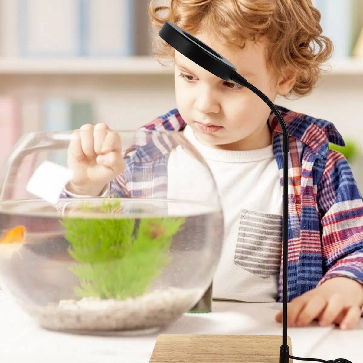 Lámpara LED para Acuario Marino y Plantas Acuáticas Base de Madera y Aleación de Aluminio, Fácil de Instalar y Mover para Decoración en Casa