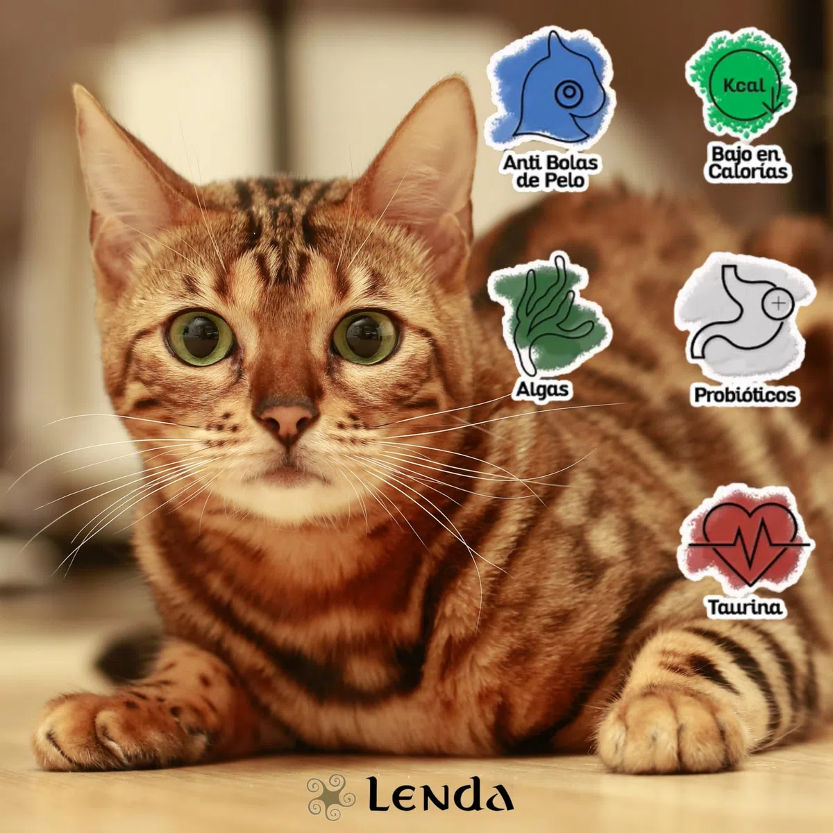 Lenda Gato Sensitive & Sterilized 7 Kg - Pienso para Gatos Adultos Esterilizados o con Tendencia a Engordar | Comida para Gatos con Alergias o Intolerancias Alimentarias | Pienso Hipoalergénico