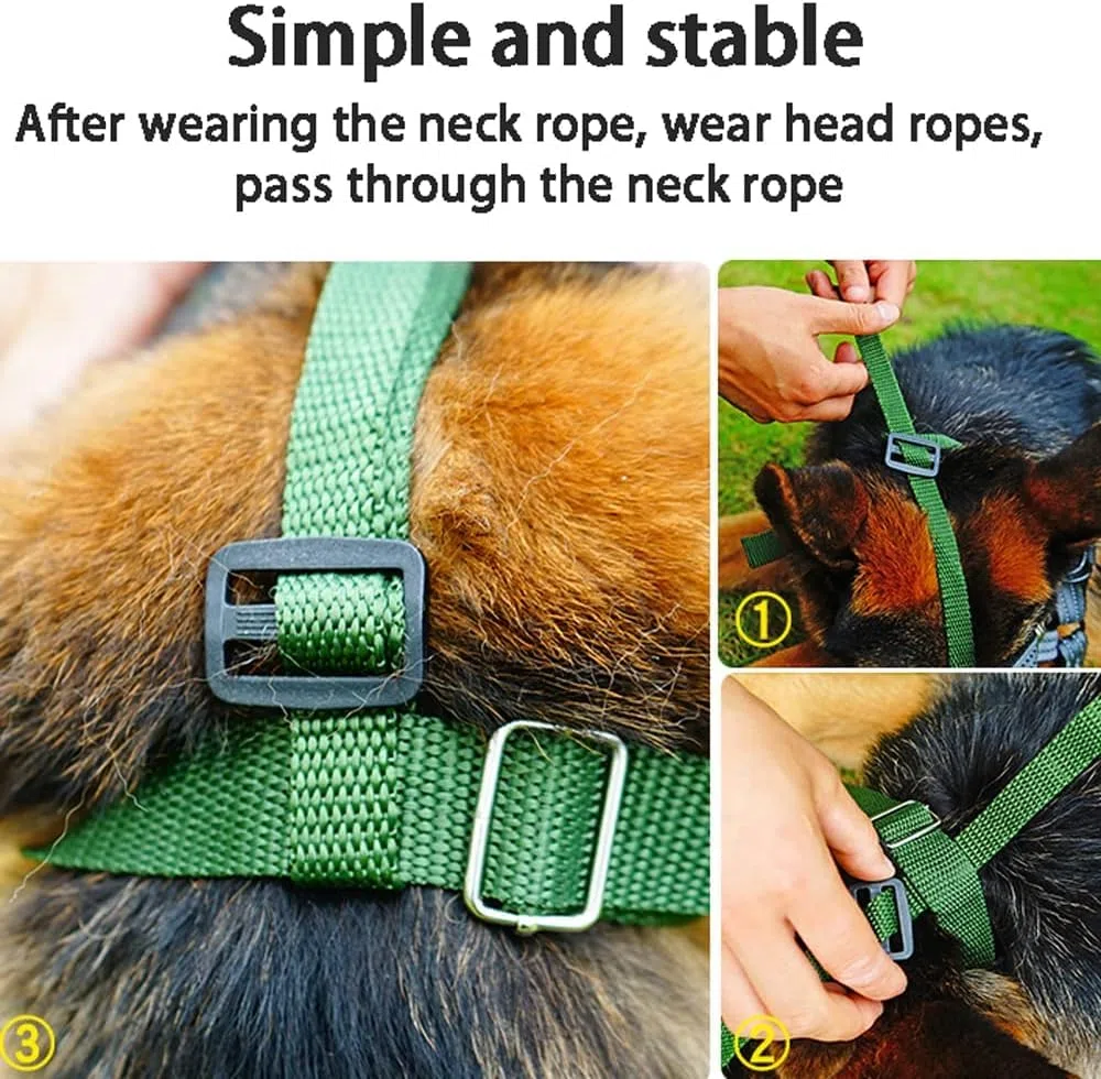 Bozales para Perros, Cesta Ajustable antiladridos y antimordeduras, Adecuada for Perros pequeños Grandes, no afecta Las Comidas(No.5mouthislong8 10cm)