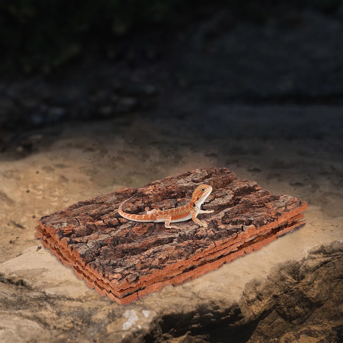 SHINEOFI 3 Piezas de Corteza de Árbol para Reptiles 30x20 Cm, Plataforma Natural para Trepar y Decorar Terrarios, Adorno Seguro y Duradero para Lagartos, Geckos y Dragones Barbudos
