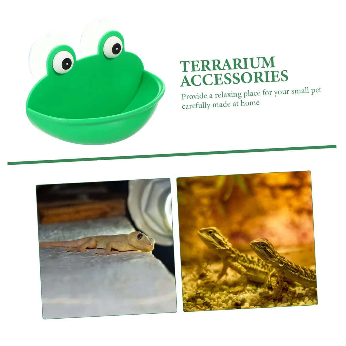 DOITOOL 6piezas Plataforma Decorativa para Reptiles Descanso y Alimentación Terrario Soporte Multifuncional para Reptiles y Mascotas Accesorios Seguros y Duraderos para Terrarios
