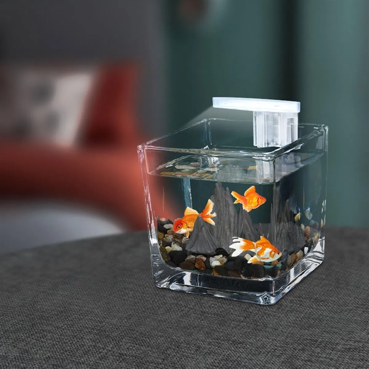 Acuario Pecera Pequeña Escritorio Cuadrado Acuario Ecológico Micro Paisaje Habitación De Invitados Oficina Pequeños Adornos Taza De Té Vidrio Paisaje Rejilla Pecera Peces Acuario(Grande)