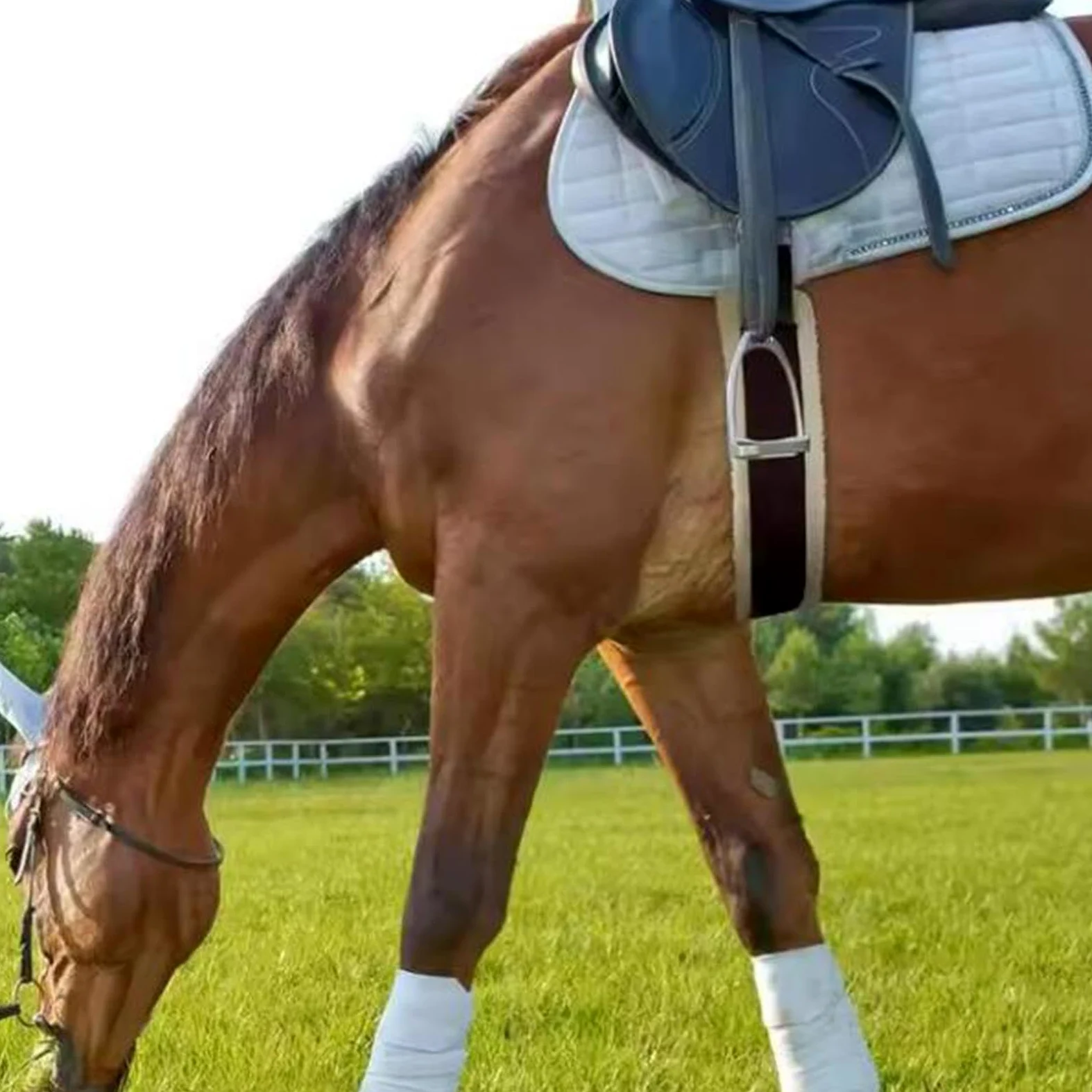 Qianly Cincha para Caballo Cincha Elástica Cincha Antideslizante Cincha Acolchada Cincha de Entrenamiento de Fácil Ajuste Adecuada para Montar Caballos Depor