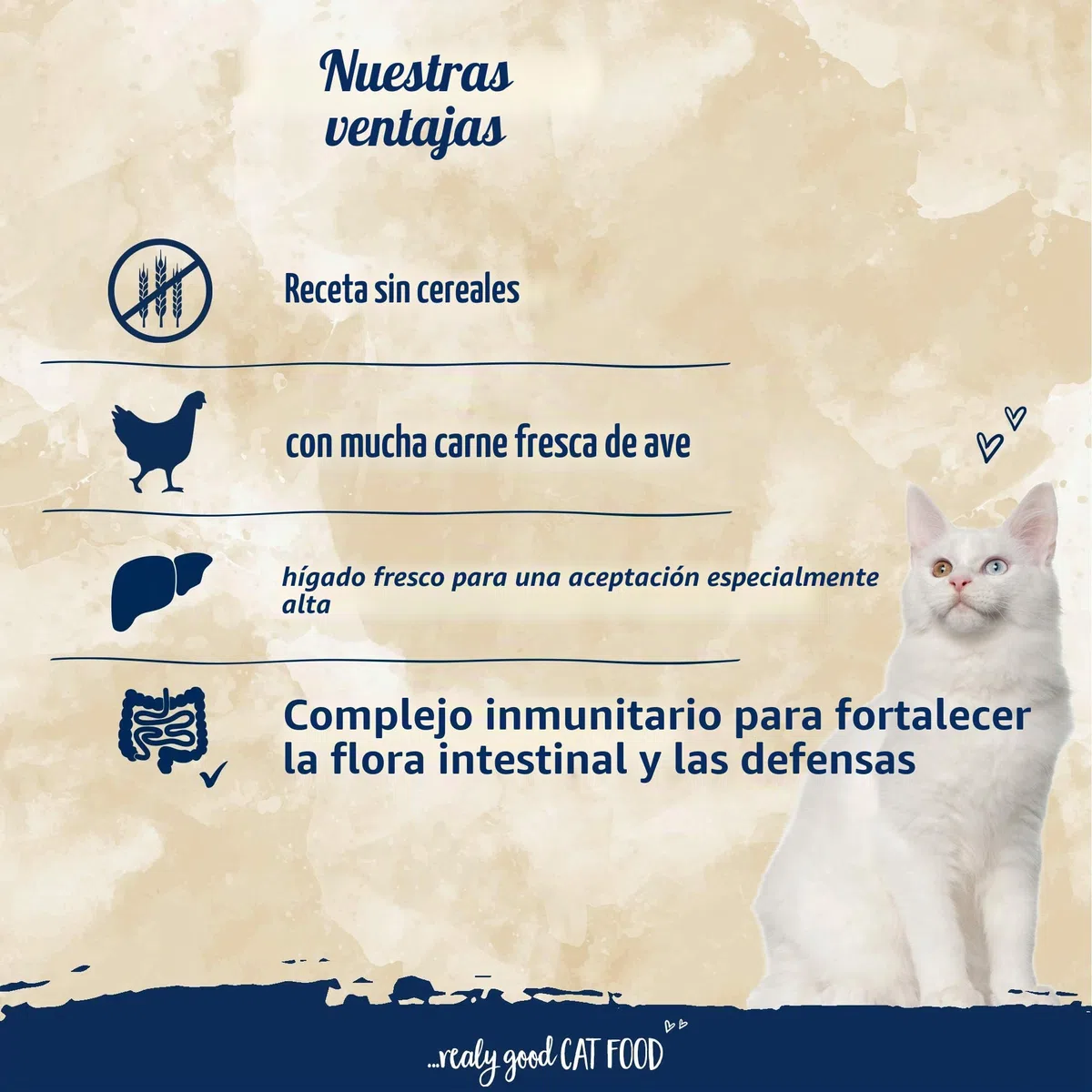 Sanabelle No Grain con las aves de corral | Alimento seco para gatos nutricionalmente sensibles | 10 kg (Paquete de 1)