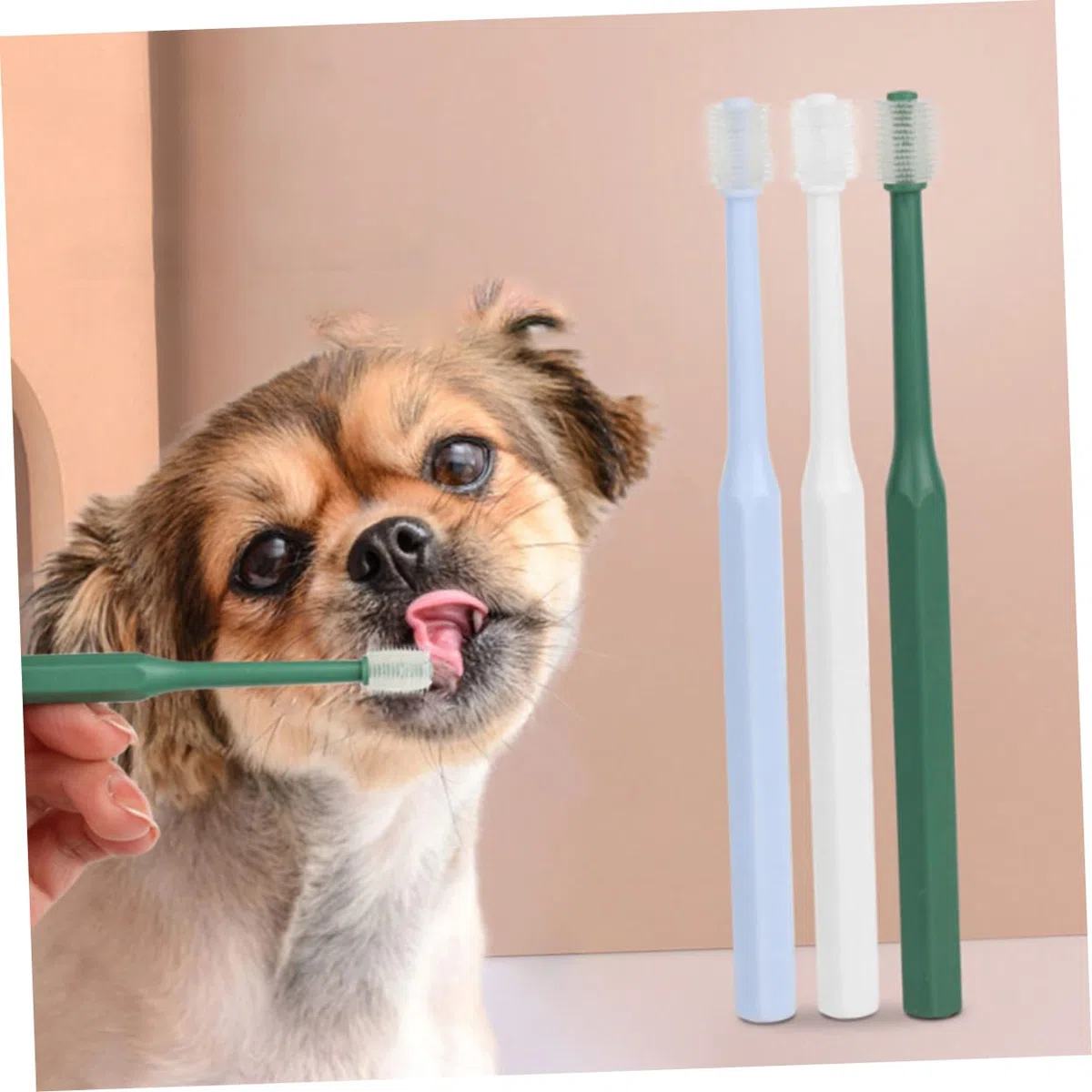 SUPVOX 12piezas Cepillo Para Mascotas Cepillo Oral Para Perros y Gatos Incluye Azules y Accesorios De Limpieza Bucal Para Animales