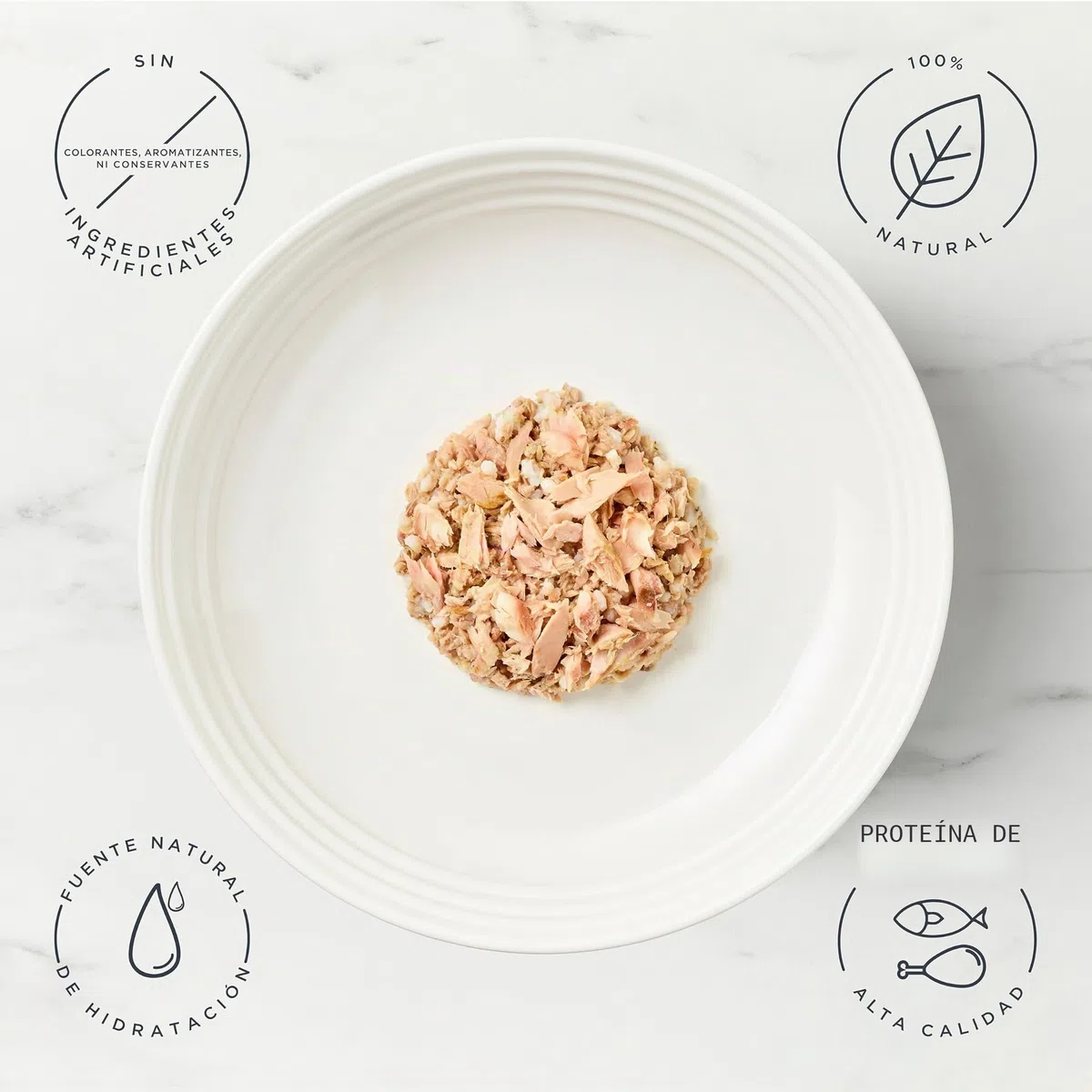 Encore Comida Húmeda Natural Gatos, Multipack de Selección de Pescado en Caldo para Gatos Adultos, Paquete de 48 Latas de 70 g