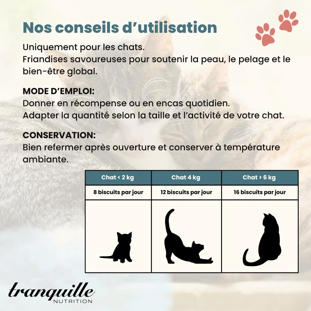 Tranquilo Crunch' Salmón para Gatos (40 x 60 g) | Dulces Ricos en Omega 3 y ácidos grasos | Piel Saludable y Pelaje Brillante | Soporte Articular y Cerebral | Croqueta Gato