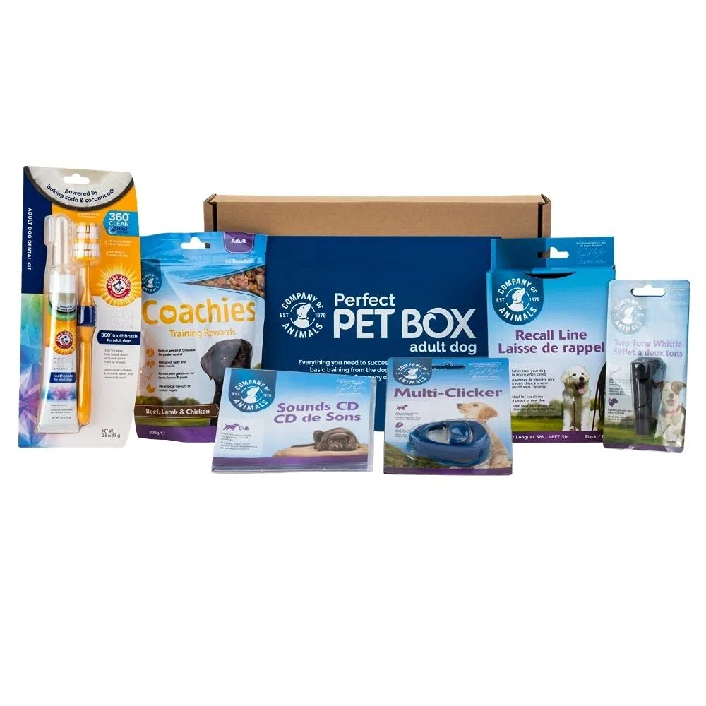 Company of Animals El Kit de Entrenamiento para Perros; con 6 Productos de línea de recuperación de 5 m; Silbato, Entrenamiento de clicker para Perros; golosinas de Entrenamiento de Entrenadores de