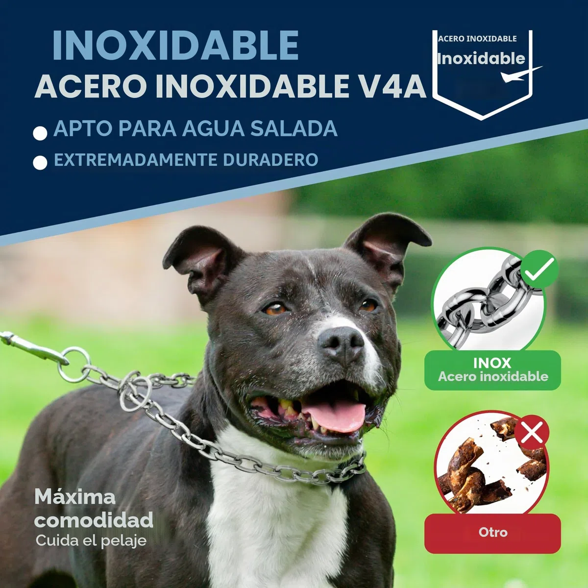 Cadena para Perro de Acero Inoxidable con mosquetón Fijo – Eslabones Largos – 4 mm x 48 cm