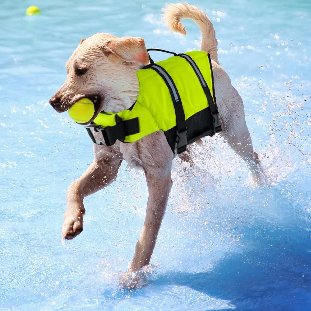 Chalecos salvavidas para perros para nadar con asas de rescate ajustables