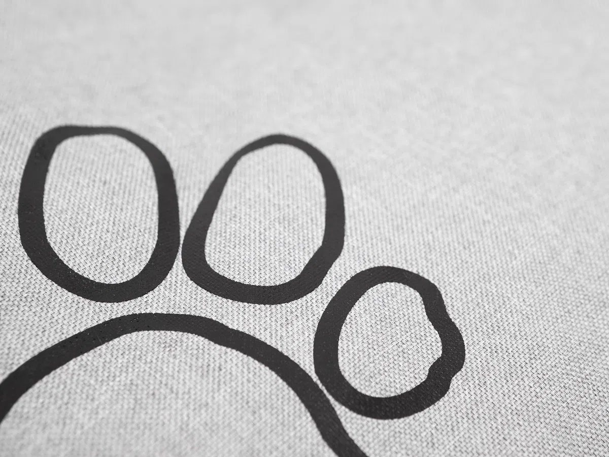 Cama para perros, sofá para perros, cojín para perros, sofá, colchón, cama, cama para animales, suave, cojín R2, 100 x 70 cm, cenizas ecológicas