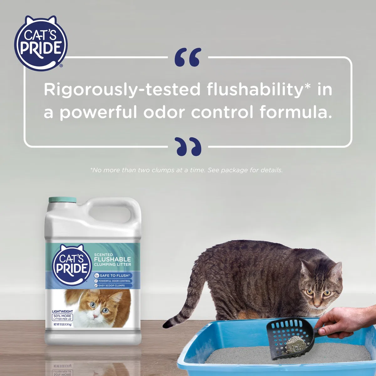 Cat'S Pride Arena aglutinante Ligera: desechable, Potente Control de olores, perfumada, 10 Libras