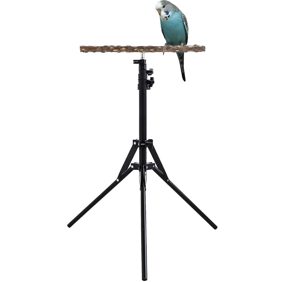 Genérico - Madera 40~157cm | de Perca de Loro de Madera de Pimienta | Natural | Perc?Stand para adiestramiento de Aves Perchas Bir? Ajustables para Loros - MultiusosBir? ?d